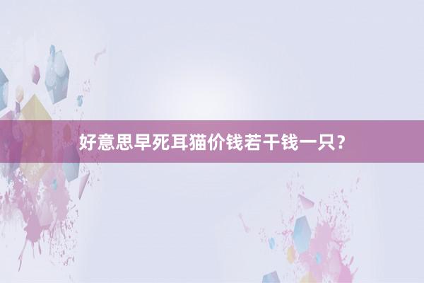 好意思早死耳猫价钱若干钱一只？